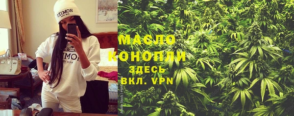гидра Новодвинск