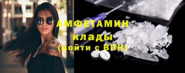 гидра Новодвинск