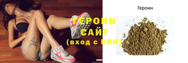 гидра Новодвинск