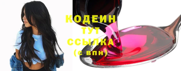 гидра Новодвинск