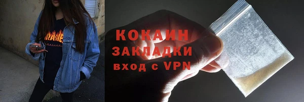 гидра Новодвинск