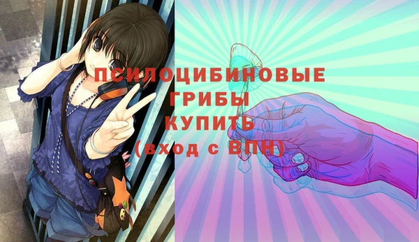 гидра Новодвинск