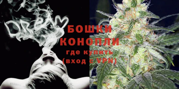 гидра Новодвинск