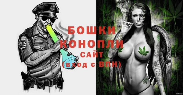 гидра Новодвинск