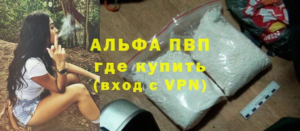 гидра Новодвинск