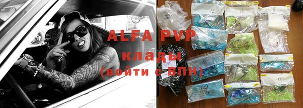 гидра Новодвинск