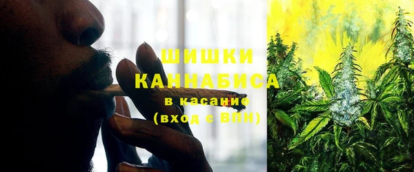 гидра Новодвинск