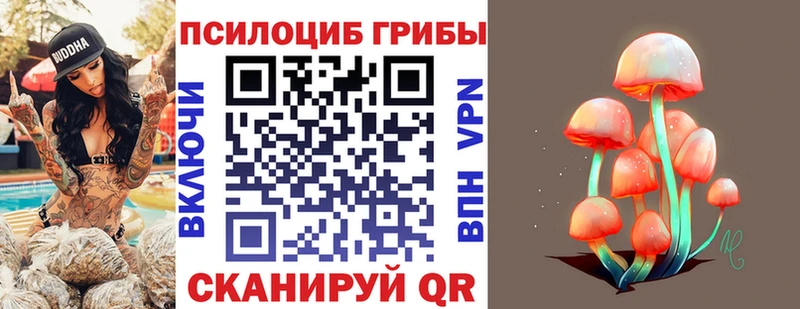 Псилоцибиновые грибы Psilocybe  Купить закладки  Сухой Лог 